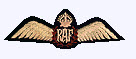 wings.jpg